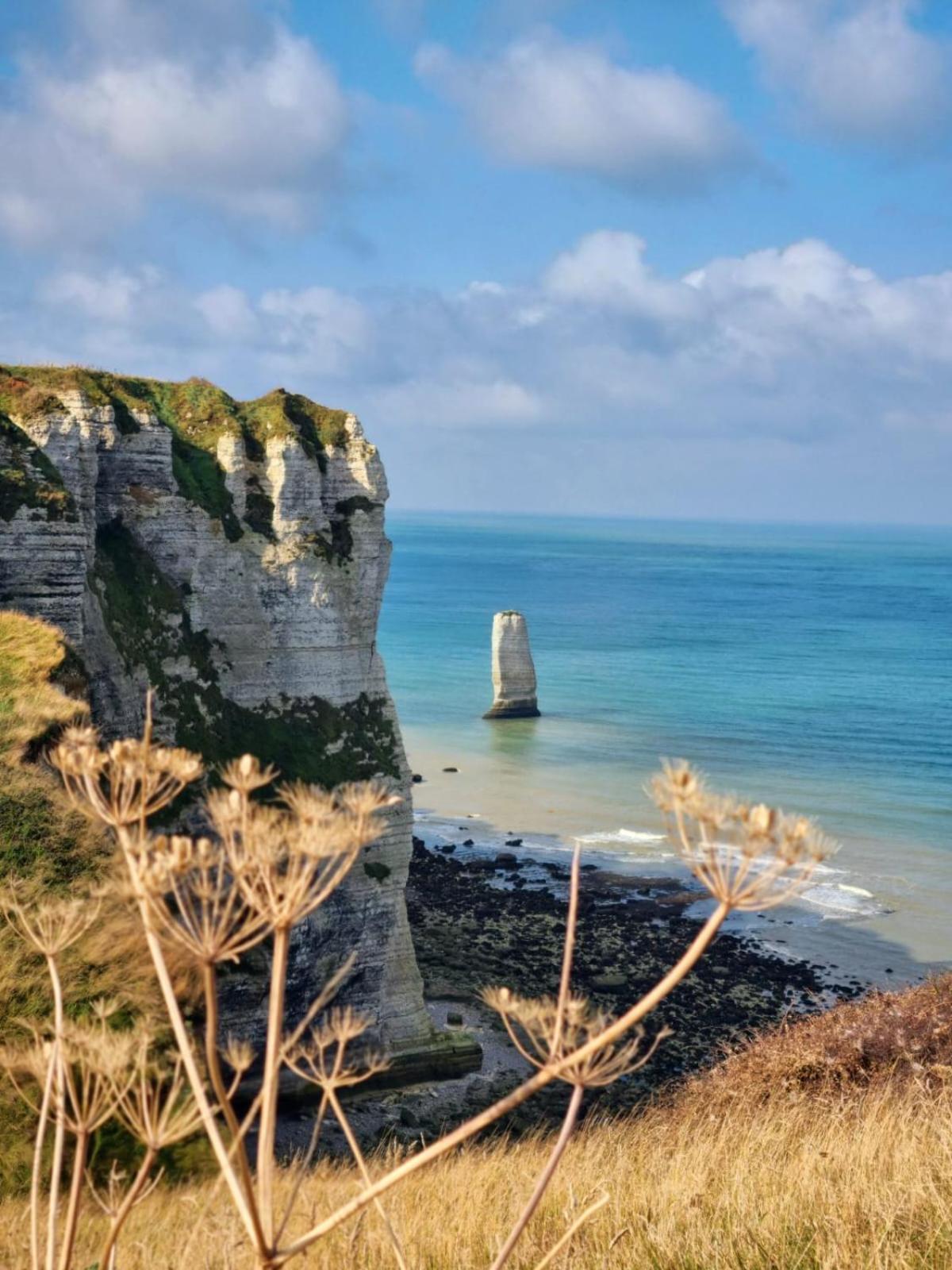 El Nido Proche D'Etretat Et Fecamp Villa Vattetot-sur-Mer Bagian luar foto