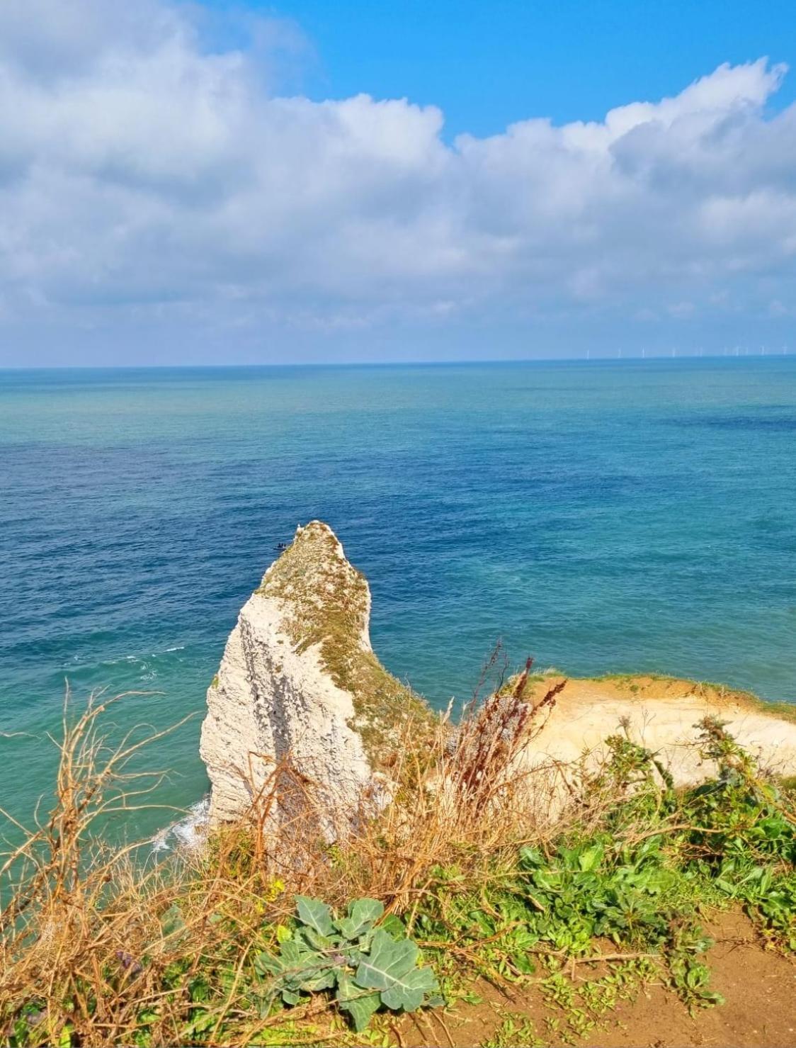 El Nido Proche D'Etretat Et Fecamp Villa Vattetot-sur-Mer Bagian luar foto